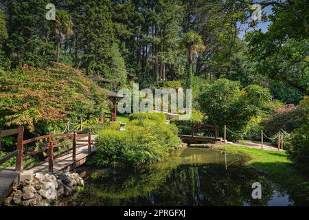 Japanischer Garten mit Teichen, Fußwegen, Brücken und grüner Vegetation in Powerscourt Gardens, Irland Stockfoto