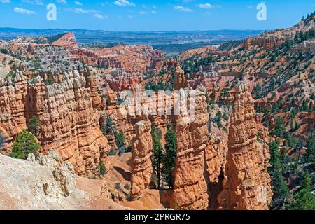 Hoodoo Panorama im Fairyland im Bryce Canyon-Nationalpark in Utah Stockfoto