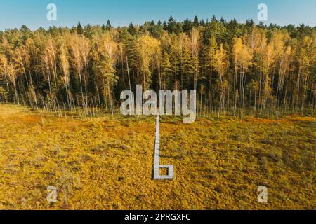 Weißrussland, Biosphärenreservat Beresinsky. Blick aus der Vogelperspektive auf den Holzweg vom Sumpfgebiet zum Wald am sonnigen Herbsttag. Panorama Stockfoto