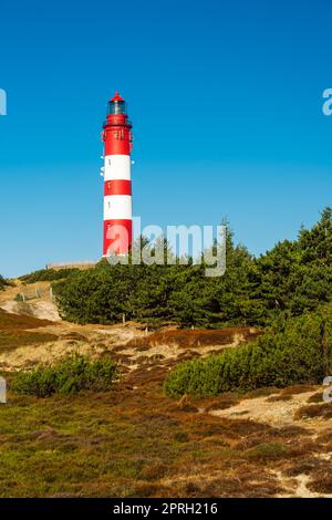 Leuchtturm Amrum, Insel Amrum, Nordsee, Schleswig-Holstein, Deutschland Stockfoto