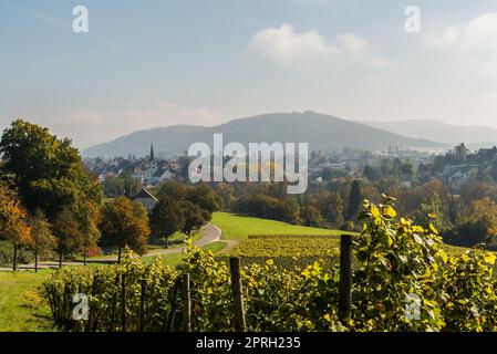 Blick auf die Stadt Diessenhofen in der Schweiz Stockfoto
