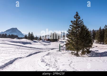 Winterlandschaft auf der Schwaegalp, Kanton Appenzell-Ausserrhoden, Schweiz Stockfoto
