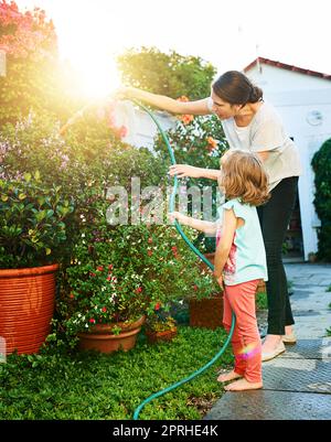 Die Pflege des Gartens ist jetzt ihre Aufgabe. Eine Mutter und Tochter machen gemeinsam zu Hause Arbeit. Stockfoto