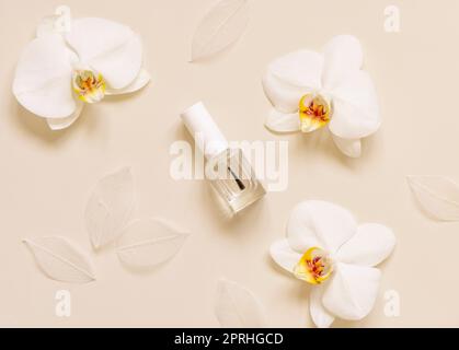 Glasflasche mit Bürstenverschluss in der Nähe der weißen Orchideenblume auf Hellbeige. Nagelmodell Stockfoto