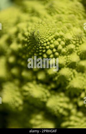 Romanesco Stockfoto