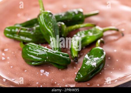 Grüne Pimientos de Padron mit Meersalz Stockfoto