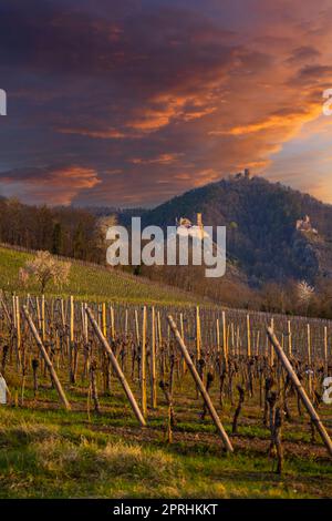 Ruinen von Chateau de Saint-Ulrich, Ruinen von Chateau du Girsberg und Chateau du Haut-Ribeaupierre in der Nähe von Ribeauville, Elsass, Frankreich Stockfoto