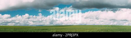 Land Ländlich Grün Weizenfeld Wiese Landschaft Im Sommer Sonnentag. Landschaftlich Schöner Himmel Mit Wolken Am Horizont. Panorama Stockfoto