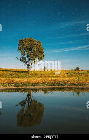 Blauer Sternenhimmel Über Dem Lake River. Nächtliche Leuchtende Sterne Und Einsames Baumholz Spiegeln Sich Im Wasser Wider. Nachtlandschaft Stockfoto