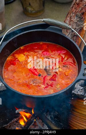 Über einem offenen Feuer wird Wassergulasch zubereitet! Stockfoto