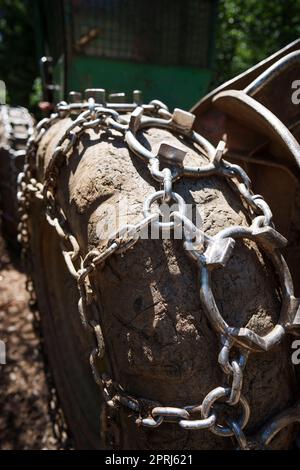 Traktionsketten auf dem großen Rad eines Holzstaplers Stockfoto