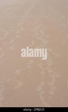 Schritte auf Sand. Fußabdrücke am Sandstrand. Puri Orissa Indien. Stockfoto