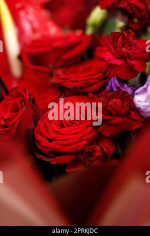 Schöner großer Strauß aus roten und violetten Blüten. Bouquet von Rosen, Calla Lilien und eustoma in roten Blumenfilm eingewickelt und mit lila gebunden Stockfoto