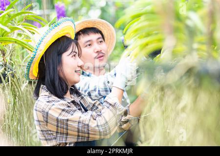 Junge Farmer überprüfen ihre Orchideengartenfarm, Frau und Mann überprüfen die Qualität der Orchideenblume durch Vergrößerungsglas zusammen und machen Notizen Stockfoto