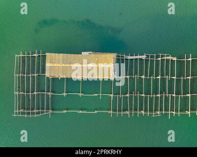 Zenithaler Blick aus der Vogelperspektive auf die Muschelzuchtbetriebe der Fangar-Bucht im Ebro-Delta (Tarragona, Katalonien, Spanien) ESP: Vista aérea cenital de mejilloneras Stockfoto