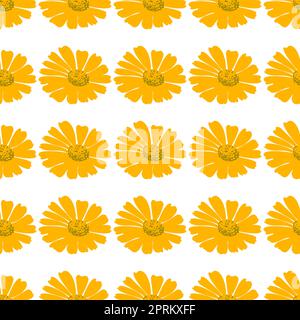 Botanische Blumen Löwenzahn nahtlose Mustervektordarstellung. Gänseblümchen mit gelber Blume auf weißem Hintergrund. Grafikdesign für Gruß, Banner, Feiertage, Feiern, Mode, Deckung, Kunst Stock Vektor