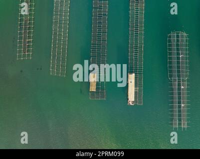 Zenithaler Blick aus der Vogelperspektive auf die Muschelzuchtbetriebe der Fangar-Bucht im Ebro-Delta (Tarragona, Katalonien, Spanien) ESP: Vista aérea cenital de mejilloneras Stockfoto