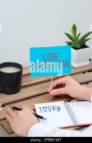 Inspiration zeigt Zeichen Code Engineering, Internet-Konzept signifikante Ideen, die ganz oder teilweise unterdrückt werden Frau hält Stift und wichtig Stockfoto