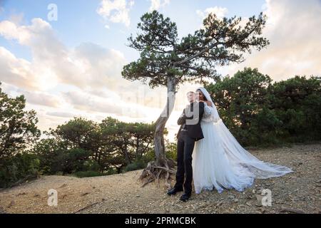 Interracial Jungvermählte umarmt vor dem Hintergrund einer schönen Waldlandschaft, in deren Mitte ein alter ursprünglicher Baum steht Stockfoto