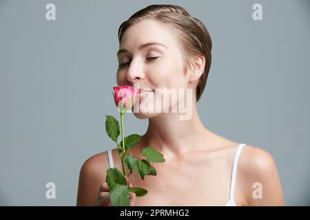 So rosarmantisch. Studioaufnahme einer attraktiven jungen Frau, die eine rosa Rose vor einem grauen Hintergrund hält. Stockfoto