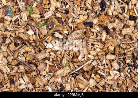 Feuchten Sie dunkle Weichholzspäne an, und verteilen Sie das Laub gleichmäßig Stockfoto