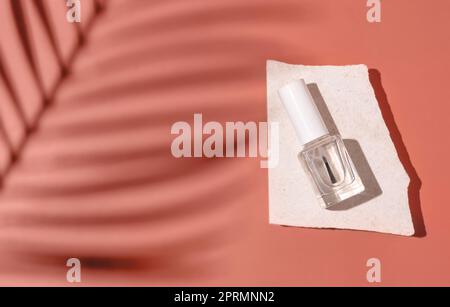 Glasflasche mit Bürstenkappe auf Stein auf rosa Draufsicht, Palmenblatt mit hartem Schatten. Nagelmodell Stockfoto