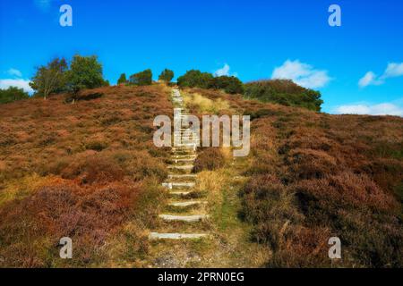 Natur im Herbst. Ein Foto Hügel mit Heidekraut bedeckt - Rebild Nationalpark, Dänemark. Stockfoto