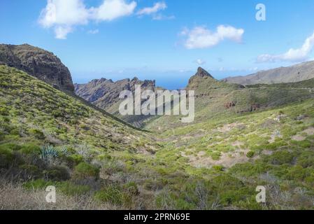 Berglandschaft zwischen masca und Teno auf Teneriffa, Kanarische Inseln, Spanien Stockfoto