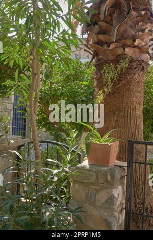 Alte Ruinen in der Neuzeit. Alte römische Ruinen in der Türkei. Stockfoto