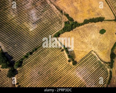 Val d'Orcia und Montepulciano von oben. Träume In Der Toskana. Stockfoto