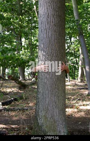 Eins mit der Natur zu sein Stockfoto