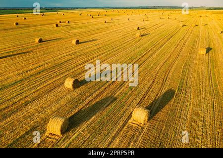 Luftaufnahme Der Sommer Hay Rolls Straw Field Landschaft Am Abend. Heuhaufen, Heuhaufen Rollen in Sunrise Time Stockfoto