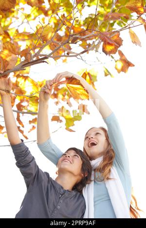 Herbstspaß. Ein Bruder und eine Schwester, die die Herbstblätter berühren Stockfoto