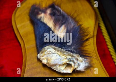 Alicante, Spanien, Stierkampfmuseum und Umgebung. Stockfoto