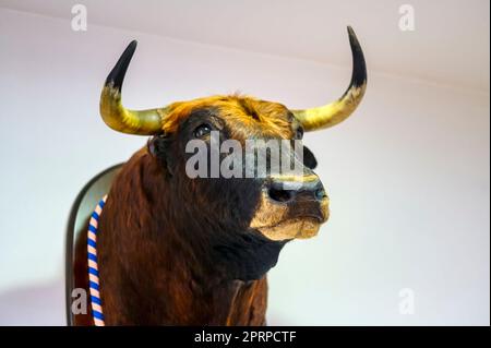 Alicante, Spanien, Stierkampfmuseum und Umgebung. Stockfoto