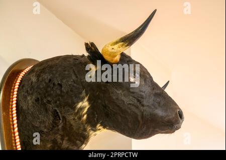 Alicante, Spanien, Stierkampfmuseum und Umgebung. Stockfoto