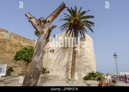 Bab El Kasba, Asilah, marokko, afrika Stockfoto