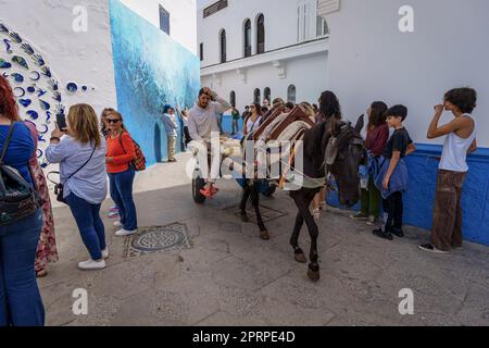 Pferdekutsche unter Touristen, Asilah, marokko, afrika Stockfoto