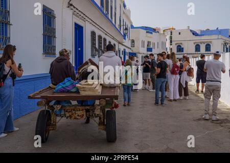 Pferdekutsche unter Touristen, Asilah, marokko, afrika Stockfoto