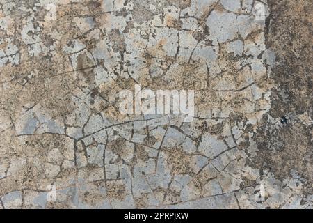 Graue Betonwand aus Zement mit Rissen und schimmelstrukturierter Hintergrundfarbe Stockfoto