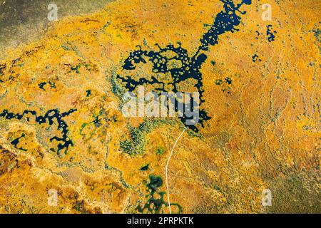 Bezirk Miory, Region Witebsk, Belarus. Der Yelnya-Sumpf. Berggebiete Und Übergangsmoore Mit Zahlreichen Seen. Blick Aus Der Vogelperspektive Auf Das Naturschutzgebiet Yelnya. Berühmtes Naturdenkmal Stockfoto