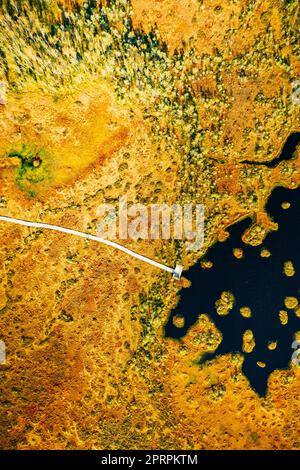 Bezirk Miory, Region Witebsk, Belarus. Der Yelnya-Sumpf. Blick Aus Der Vogelperspektive Auf Das Naturschutzgebiet Yelnya. Schmaler Holzwanderweg, Der Sich Durch Marsh Schlängelt. Cognitive Boardwalk Trail über Einem Feuchtgebiet Stockfoto