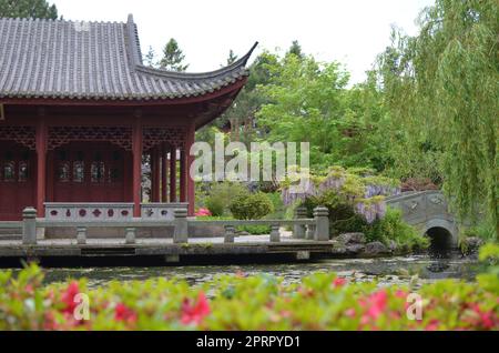 HAREN, NIEDERLANDE - 23. MAI 2022: Wunderschöner Blick auf das orientalische Gebäude in der Nähe des Teiches im chinesischen Garten Stockfoto