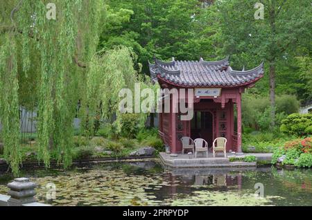 HAREN, NIEDERLANDE - 23. MAI 2022: Wunderschöne Aussicht auf die orientalische Gartenlaube in der Nähe des Teichs im chinesischen Garten Stockfoto