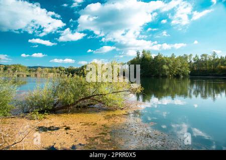 Biodiversität Haff Reimech, Feuchtgebiet und Naturschutzgebiet in Luxemburg, Teich umgeben von Schilf und Bäumen, Vogelbeobachtungspunkt Stockfoto