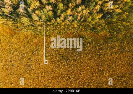 Weißrussland, Biosphärenreservat Beresinsky. Blick aus der Vogelperspektive auf den Holzweg vom Sumpfgebiet zum Wald am sonnigen Herbsttag. Panorama Stockfoto