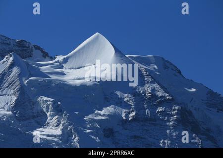 Mount Silberhorn, Schweiz. Stockfoto