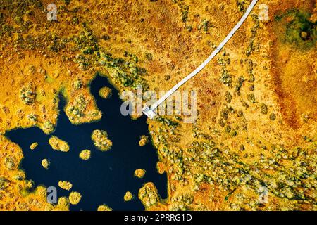 Bezirk Miory, Region Witebsk, Belarus. Der Yelnya-Sumpf. Blick Aus Der Vogelperspektive Auf Das Naturschutzgebiet Yelnya. Schmaler Holzwanderweg, Der Sich Durch Marsh Schlängelt. Cognitive Boardwalk Trail über Einem Feuchtgebiet Stockfoto