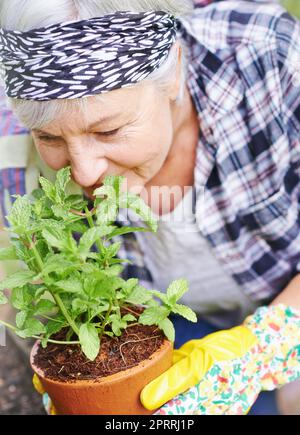 Ich wusste nie, wie viel Freude die Gartenarbeit bringen konnte. Ein glückliches Seniorenpaar beschäftigt Gartenarbeit in ihrem Hinterhof. Stockfoto