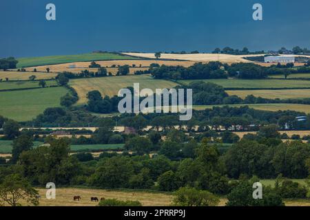 Die Landschaft von Newgrange in Irland Stockfoto